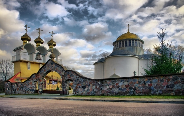 jałówka