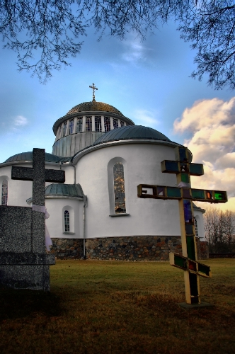 jałówka