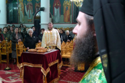 paulos4205 
Επσερινός-Αρτοκλασία 
2011-12-01 10:04:30