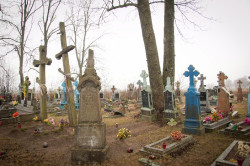 bazylia 
 
2011-12-03 22:05:54