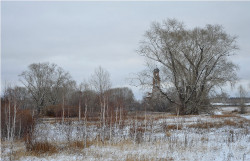 Eduard_z 
Молодая поросль. 
2011-12-07 05:03:49