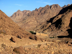 PALADA 
Mănăstirea Sfânta Ecaterina - Sinai... 
2011-12-07 11:39:07