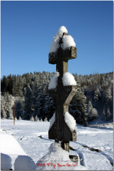 secure_root 
dor de sihastrie... 
2011-12-14 20:31:30