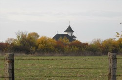 CornelApostol 
Late  Autumn 
2011-12-18 14:30:52