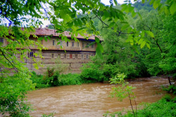 Damianka 
Kilifarevo Monastery 2004 
2011-12-21 19:31:08