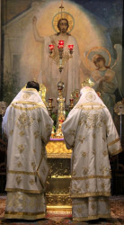 jarek 
Praying 
2011-12-27 10:36:57