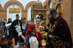 jorge 
Parohia "Sf. Nectarie Taumaturgul" - Coslada, Spania 
2011-12-29 11:15:23