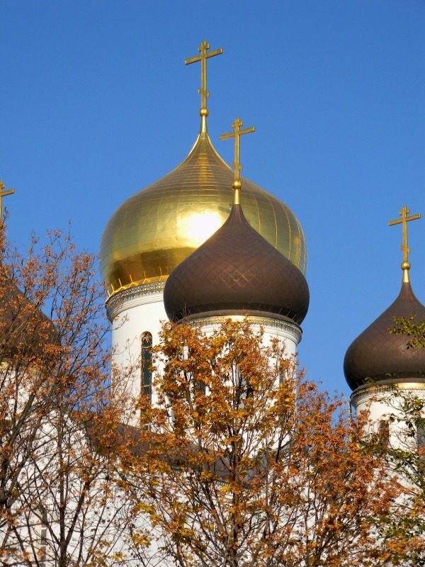 Золотая осень...