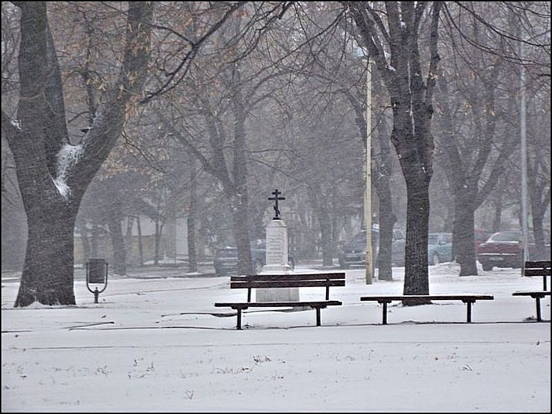 Winter in the park