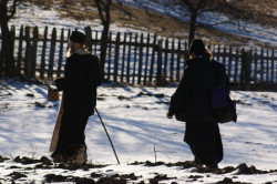navzar 
following Christ.... 
2012-01-08 21:20:34