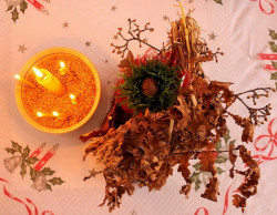 TijanaZemun 
Срећан Божић 
2012-01-08 21:42:13