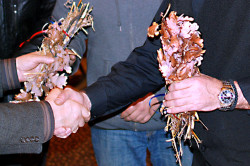 MikaV 
Christmas  Eve - warmest congratulations 
2012-01-12 23:51:08