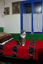 felix 
Winter In a Serbian village - Зима у српском селу 
2012-01-17 22:27:21