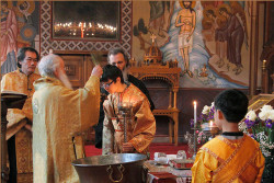 tolmargarita 
С праздником Крещения Господня! 
2012-01-19 03:14:48