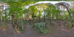 kreo 
Grabarka - Las krzyży 
2012-01-21 11:25:22