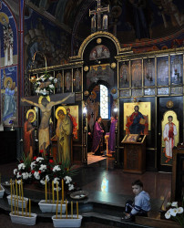 AleksaSrbin 
у сусрет празнику 
2012-01-21 11:31:50