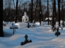 kcenia.belova 
Санкт-Петербург.Смоленское кладбище. 
2012-01-23 20:24:12