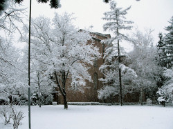Anima_Mea 
Света София 
2012-01-25 22:03:58