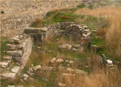 nataganich 
Базилика 
2012-01-26 22:19:11