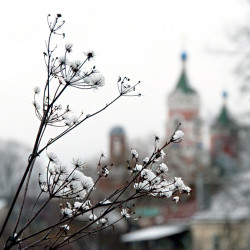 peter.kolchin 
Первый снег в Можайске 
2012-01-28 23:33:11