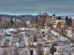 waniia 
Зима 
2012-02-05 22:38:55