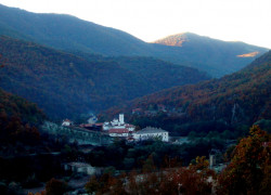Miladin.Š 
Sveti Prohor Pčinjski 
2012-02-11 21:28:39