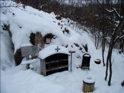 Nikolay_BG 
 Sredna Gora mountain 
2012-02-12 19:43:09