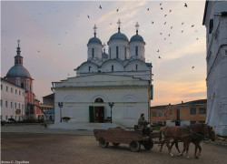 gruzdev 
На рассвете за молоком 
2012-02-12 19:51:06