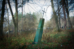 bazylia 
 
2012-02-17 11:38:56