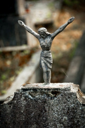 bazylia 
 
2012-02-17 11:40:10