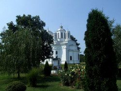 Novakovic 
КРСТ И ЗВОНА НАД СРБИЈОМ---Cross and the bells tone up of Serbia, 145 
2012-02-24 09:43:51