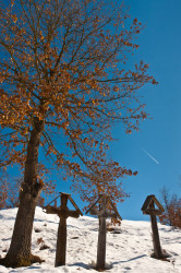calugaru 
CARBUNESTI SAT 
2012-02-26 13:17:40