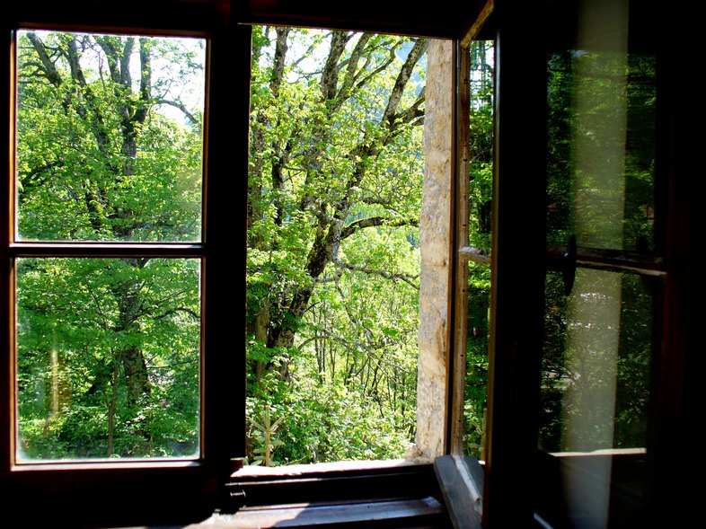 View from the window of my room in the Rila Monastery II
