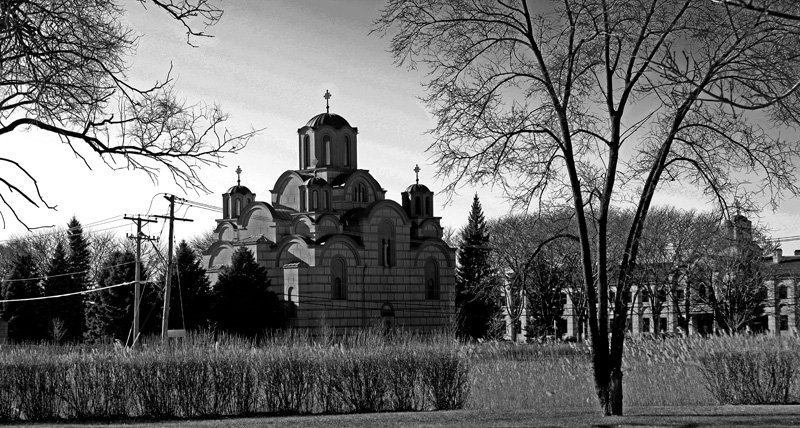 Gracanica crno-bela