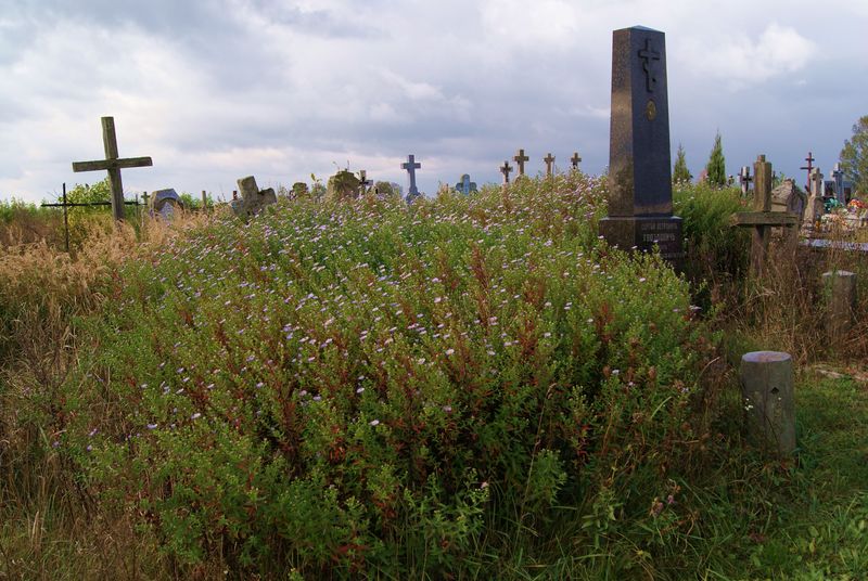 cmentarz w Holeszowie (dekanat Terespol)
