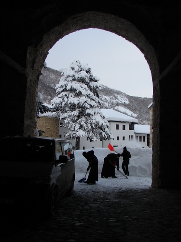 snowy