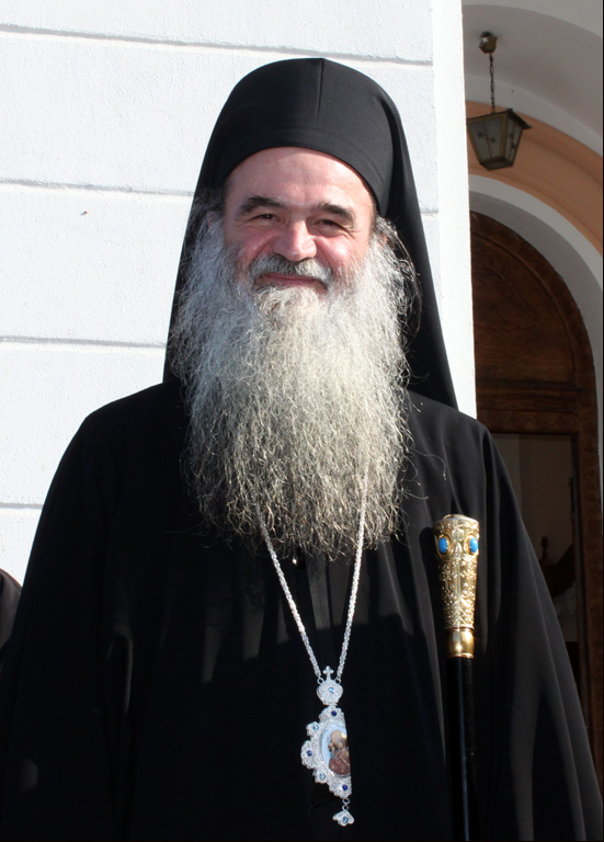 Vladika David