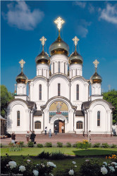 gruzdev 
Возрождение 
126 
2012-03-01 11:53:21