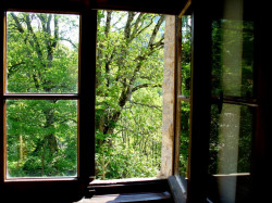 Damianka 
 View from the window of my room in the Rila Monastery II 
2012-03-02 19:32:08