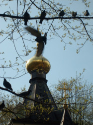 BonnyeSpb 
Часовня матушки Ксении. Санкт-Петербург. 
2012-03-11 09:17:31