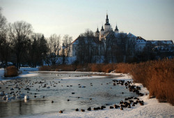 Pit_Zsak_79 
Monaster supraski. 
2012-03-11 20:53:01