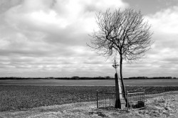 Adam Falkowski 
 
2012-03-12 20:41:16