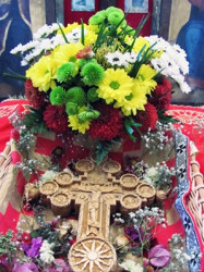 MiloSerbia 
Joy with Christ 
2012-03-16 15:08:51