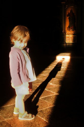 TijanaZemun 
Светлост светлости 
2012-03-23 10:09:41