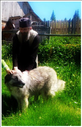elenna 
 
2012-03-26 18:05:04
