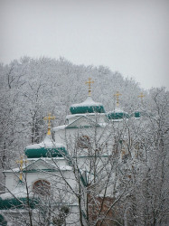 Sergey_Fandikov 
Свято-Успенская Святогорская лавра 
2012-03-26 20:36:52