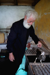 Martens 
Hodowca i dobry opiekun 
2012-03-29 23:35:22