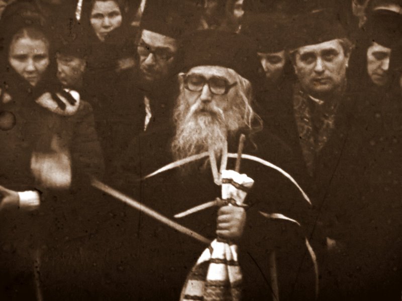 Parintele Cleopa