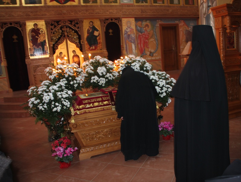Wynos płaszczenicy