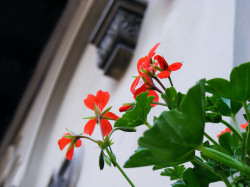 Daniel 
 
2012-04-01 13:38:47